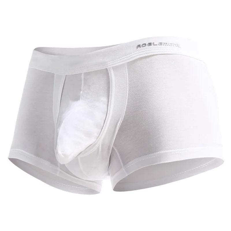 Spermatozoa-Separating Underwear for Men, Scrotal Support, Ice Silk Pouch, Varicose Veins Boxer Briefs for Men