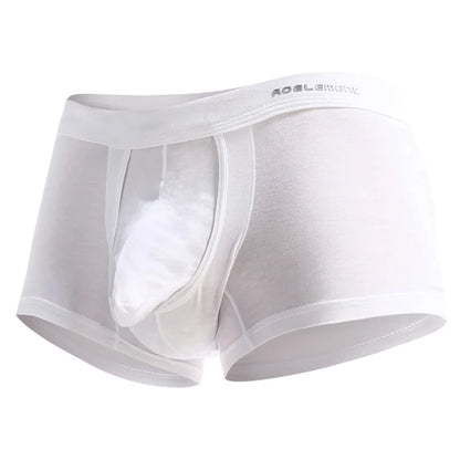 Spermatozoa-Separating Underwear for Men, Scrotal Support, Ice Silk Pouch, Varicose Veins Boxer Briefs for Men