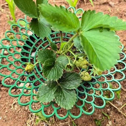 5pcs Green Strawberry Planting Racks, Watermelon Support Frames, 3-Legged Plant Protector, Easy Assembly Plant Accessories