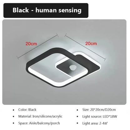 Energy Saving Smart Ceiling Light Human Body Sensor Auto on Off 85-265V for Corridor Hallway Entrance Balcony Lighting Fixture