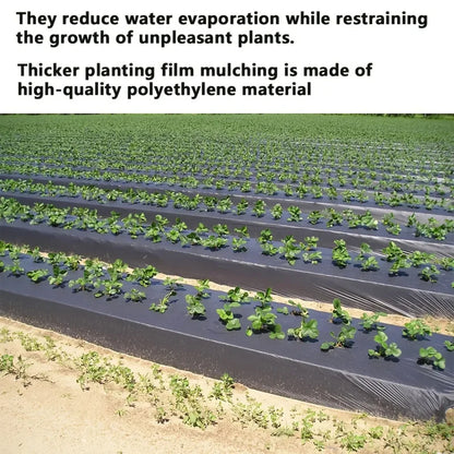 Grow Your Vegetables with Our High-Quality Black Plastic MulchFilm - Perfect for Greenhouses and Plant Protection!