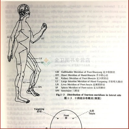 Bilingual Chinese Acupuncture and Moxibustion in Chinese and English Medicine Book