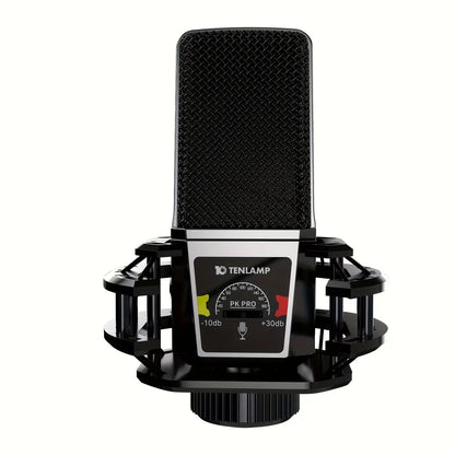 Tenlamp PKPRO Large Diaphragm Condenser Mic, 26mm Gold-Plated Head, Phantom Power, USB/XLR Dual-Circuit,  Gaming Streaming Podcast Mic with Stand, Noise Cancellation for PC PS5 Karaoke Video Conferencing