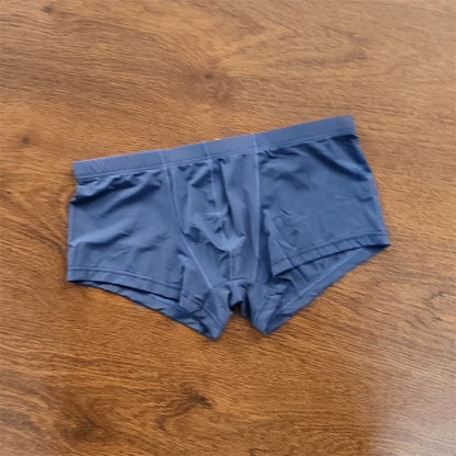 Man Underwear Men's Ice Silk Boxer Shorts Cool Underpants Summer Sexy Thin Panties U Pouch Lingerie Wholesale Price M-XXL