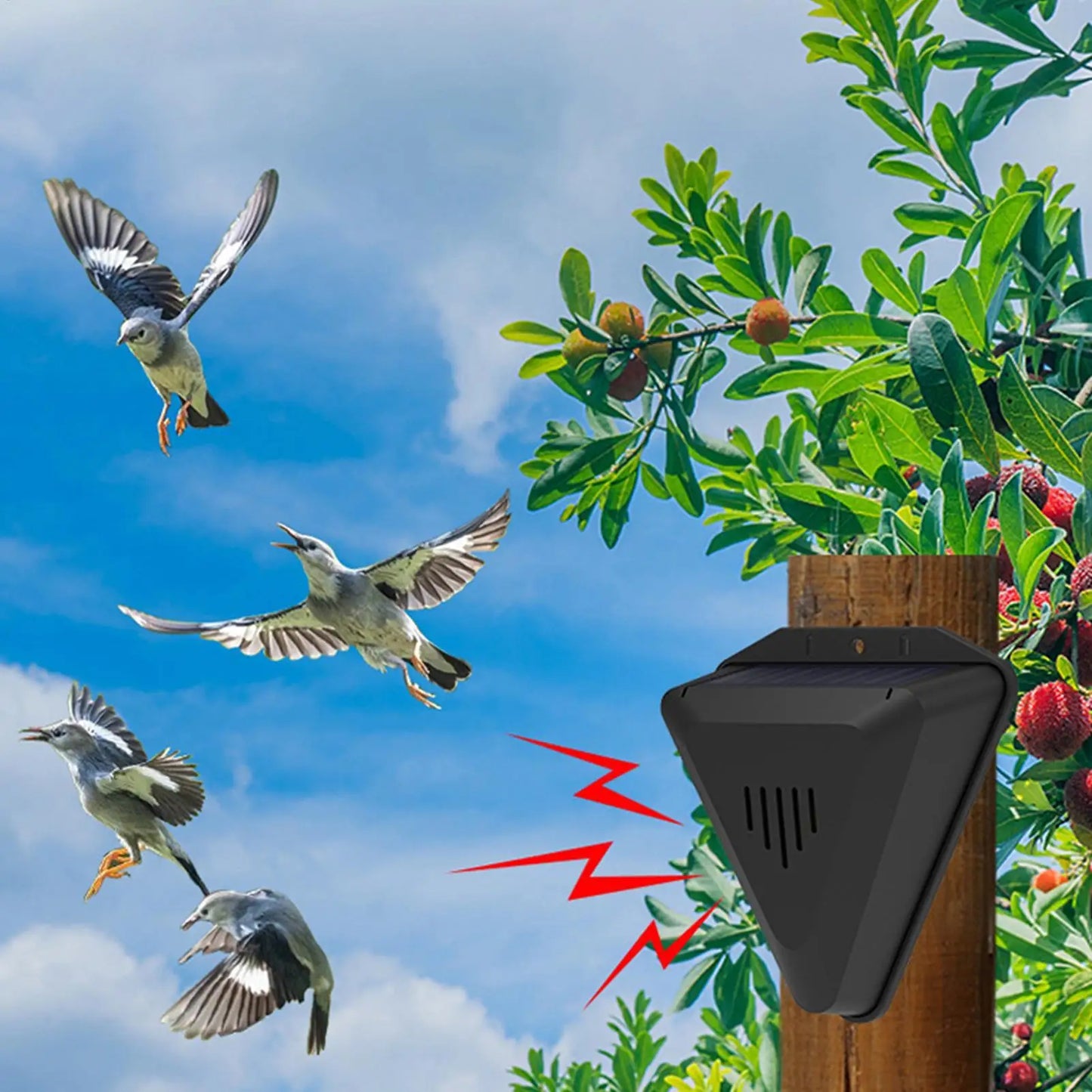 Waterproof Solar bird repeller timed sound and light alarm during the day Protecting crops orchard fish field to repel pigeons