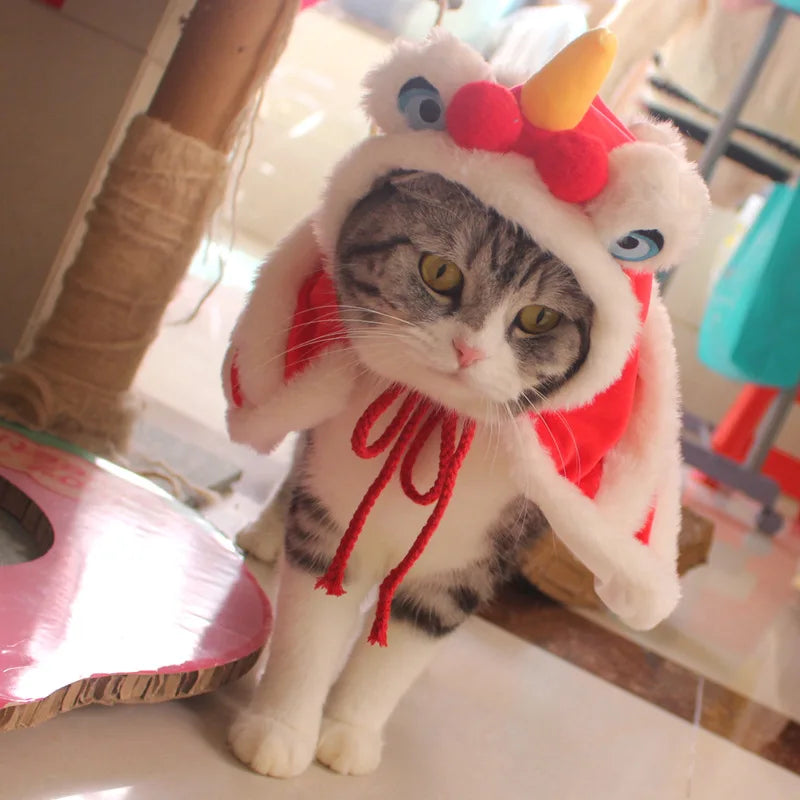 Red Pet Festival Cape | Polyester Costume | Small Dogs & Cats