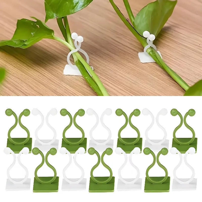 10/30/50pcs Home Garden Plant Climbing Wall Fixture Clips Rattan Vine Fixer Self-Adhesive Plant Climbing Wall Fixed Buckle Hook