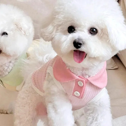 Small Dog Shirt | Spring & Summer Pet Apparel | Casual Wear for Small Dogs