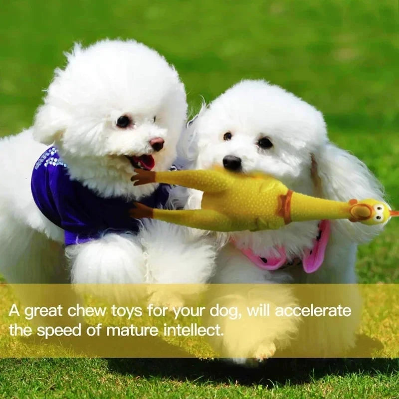 1PC Squeaky Chicken Toy, Squeeze Screaming Chicken Decompression Toy, Funny Vent Toy for Dogs & Pets