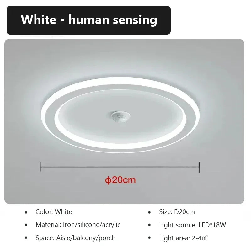 Energy Saving Smart Ceiling Light Human Body Sensor Auto on Off 85-265V for Corridor Hallway Entrance Balcony Lighting Fixture