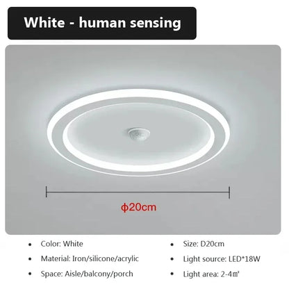 Energy Saving Smart Ceiling Light Human Body Sensor Auto on Off 85-265V for Corridor Hallway Entrance Balcony Lighting Fixture