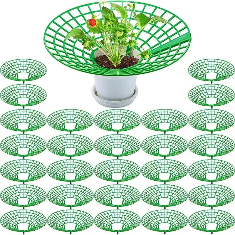 5/10Pcs Strawberry Plant Supports with 3 Sturdy Legs Strawberry Growing Racks Protector Frame Holder Cage From Mold Rot Dirt