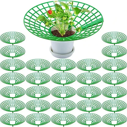 5/10Pcs Strawberry Plant Supports with 3 Sturdy Legs Strawberry Growing Racks Protector Frame Holder Cage From Mold Rot Dirt