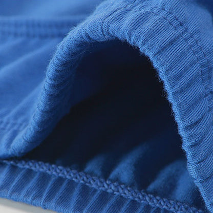 5Pcs Random Color Men's 100% Cotton Breathable Briefs Comfortable Male Underwear Lingerie Sexy Elastic Panties Underpants