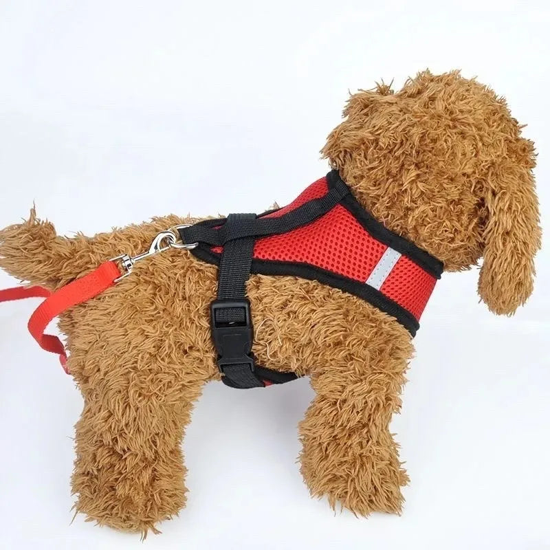 Cat Harness Vest Walking Lead Leash for Puppy Dogs Collar Polyester Adjustable Mesh Dog Harness for Small Medium Pet Accessories