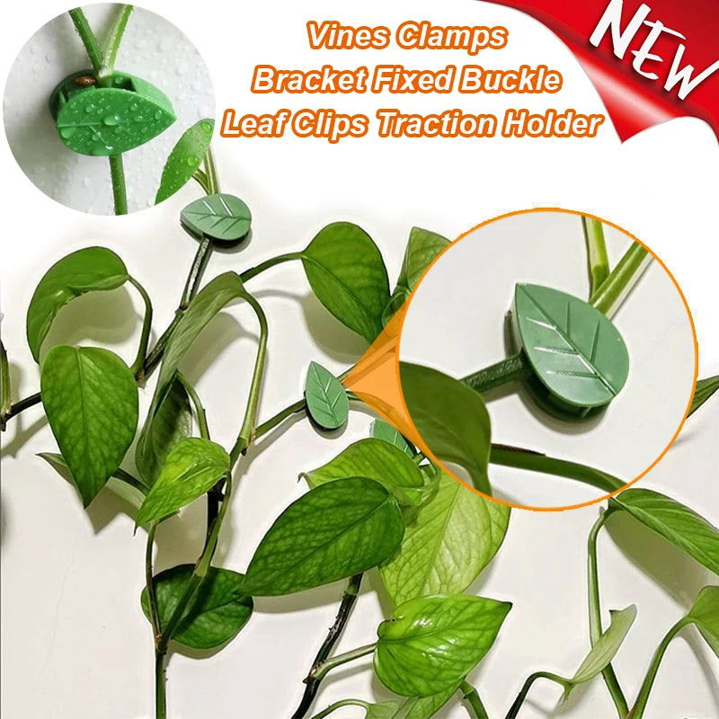 20pcs Plant Climbing Wall Fixture Rattan plants growth climb traceless vine fixing tool Self-Adhesive Green Clip Traction Holder