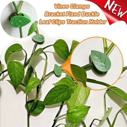 20pcs Plant Climbing Wall Fixture Rattan plants growth climb traceless vine fixing tool Self-Adhesive Green Clip Traction Holder