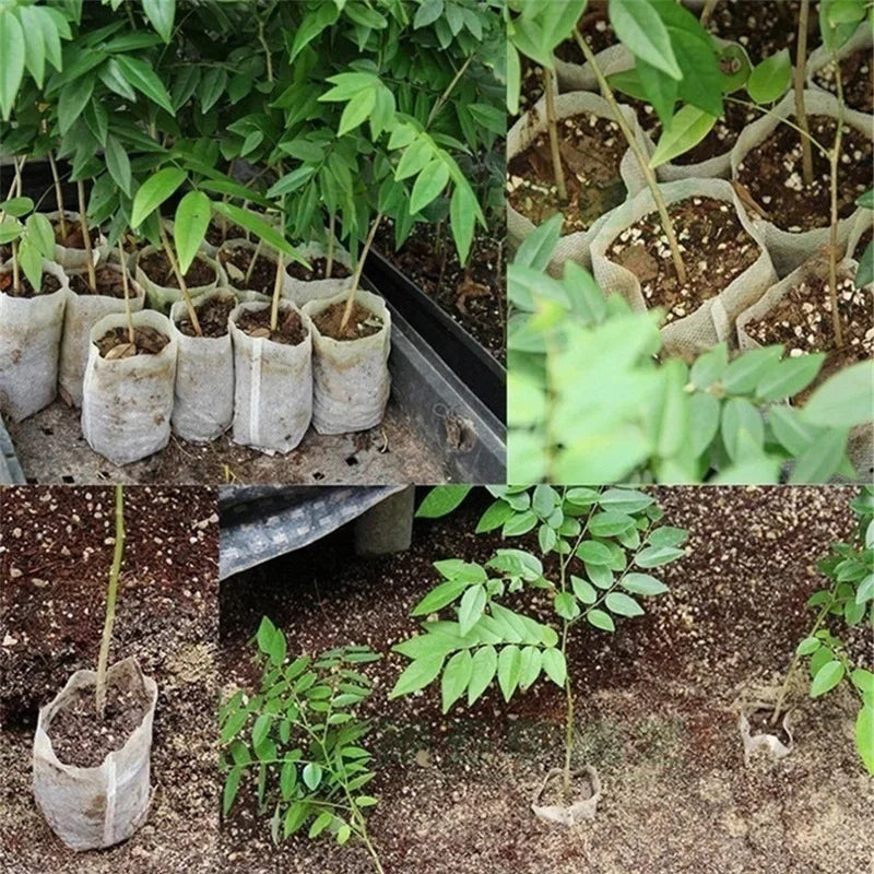 100-500Pcs Biodegradable Nursery Bag Plant Grow Bags Non-woven Fabric Seeds To Sow Flower Pots For Home Garden Accessories Tools