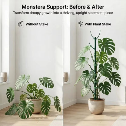10Pcs Monstera Plant Support Set Stackable Tall Poles with Ties Support Climbing Plant Stems Durable Outdoor Gardening Supports