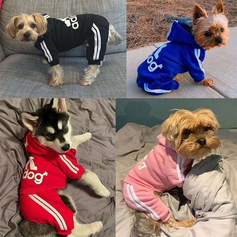 Warm Dog Jumpsuit Hoodie | Sport Sweatshirt Coat for Yorkie & French Bulldog | Small to Medium Pet Jacket