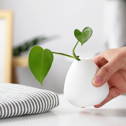 Small ceramic vases, simple home decor, living room decoration, dry flower planters, handicrafts, hydroponic vases