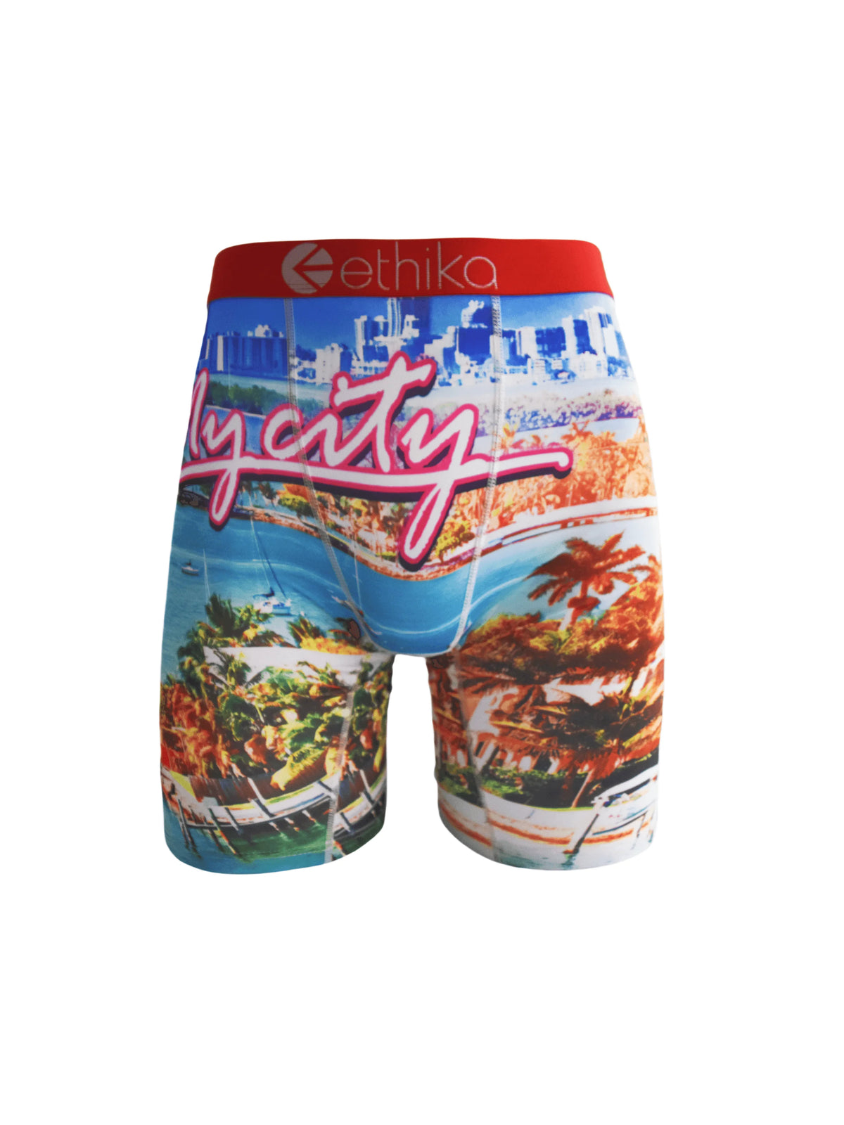 ETHIKA 1Pcs Men Underwear Boxers Breathable Mesh Crotch Man Underpants Plus Size L-3XL Mens Panties Printed Men's Boxers Briefs