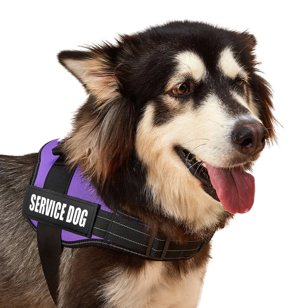 Accept Customise Patches Pet Dog Harness No Pull Reflective Saddle Adjustable Dog Walking For Small Medium And Large Dogs Vest