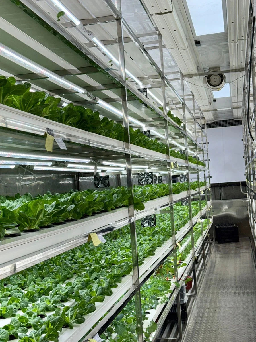 OEM Nft Hydroponics Nft Channel Growing System Kits Vertical Lettuce Strawberry Agricultural NFT Growing System Plant Vegetable