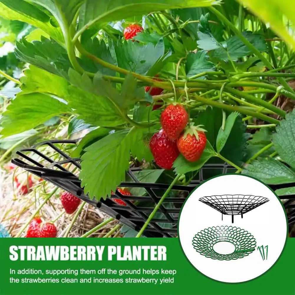 5pcs Green Strawberry Planting Racks, Watermelon Support Frames, 3-Legged Plant Protector, Easy Assembly Plant Accessories