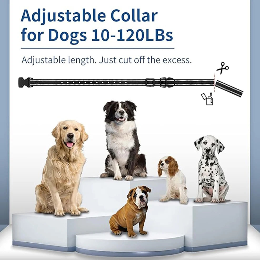 4 Working Modes Dog Training Collar（0-10 Levels）, 4900FT Remote Control, IP67 Waterproof  Rechargeable Collar for All Size Dogs