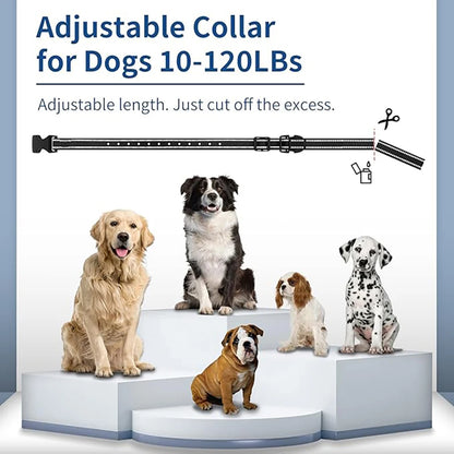 4 Working Modes Dog Training Collar（0-10 Levels）, 4900FT Remote Control, IP67 Waterproof  Rechargeable Collar for All Size Dogs