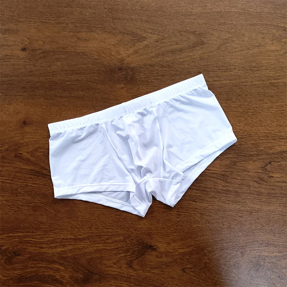 Man Underwear Men's Ice Silk Boxer Shorts Cool Underpants Summer Sexy Thin Panties U Pouch Lingerie Wholesale Price M-XXL