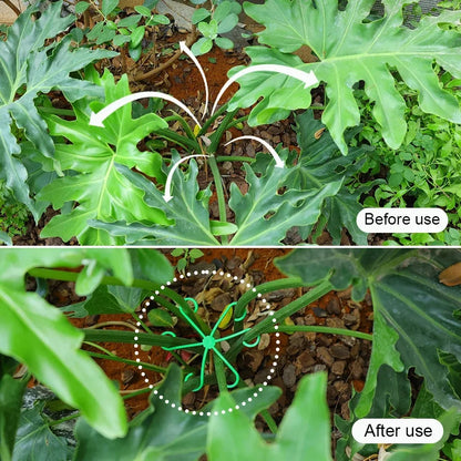 Flower Plant Stem Support Stakes Climbing Houseplant Stand Frame Plastic Garden No Stake Trellis Indoor Plant Holder Rack Hoops