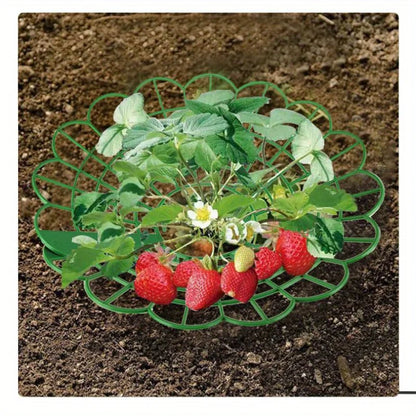 5/10/20pcs Strawberry Plant Supports with Three Sturdy Legs Provide Protection for Strawberries Against Mold, Rot, and Dirt