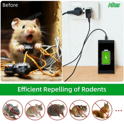 Boules répulentes de souris et de Rat, boule de mothe puissante pour grandes souris, piège à rats, appât répulsif d'insectes