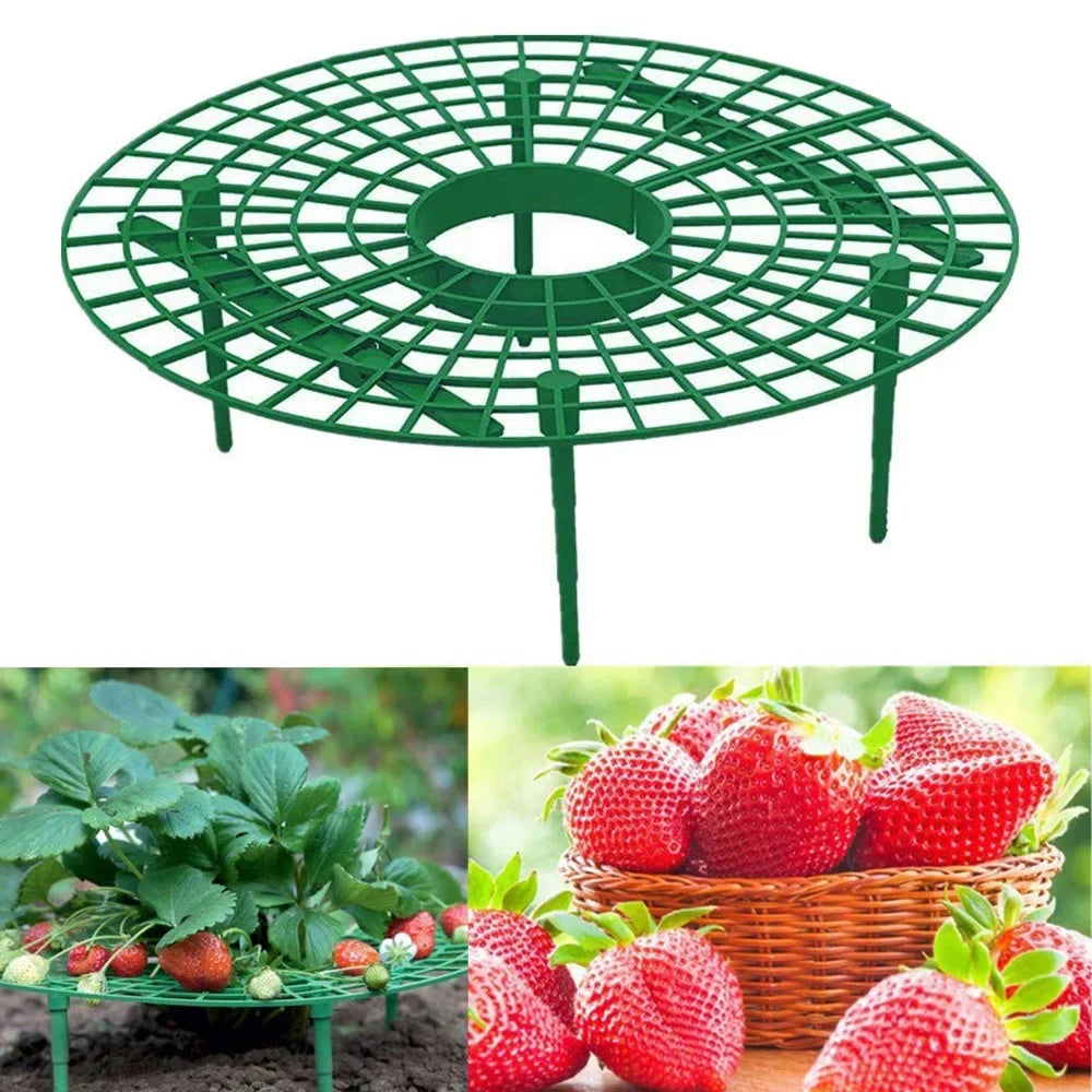 Garden Strawberry Stand Plant Support Fruits Growing Racks with 4 Sturdy Legs Growing Frame Fruit Stand