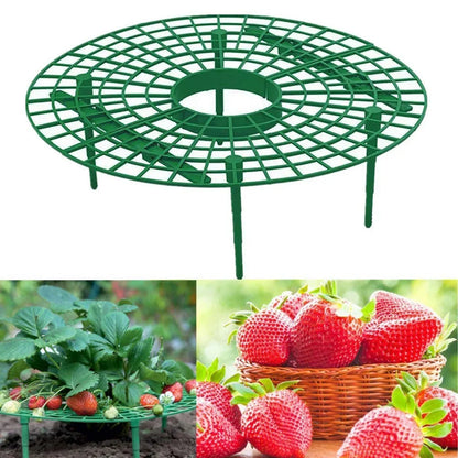 Garden Strawberry Stand Plant Support Fruits Growing Racks with 4 Sturdy Legs Growing Frame Fruit Stand
