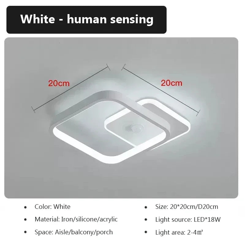 Energy Saving Smart Ceiling Light Human Body Sensor Auto on Off 85-265V for Corridor Hallway Entrance Balcony Lighting Fixture