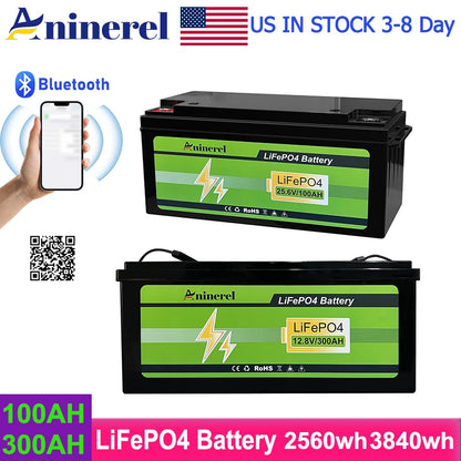 Aninerel 3840Wh 12V 300AH 24V 100Ah 2560Wh Lithium LiFePO4 Battery with 100A BMS Perfect for RV Golf Cart Solar Power System Trolling Motor