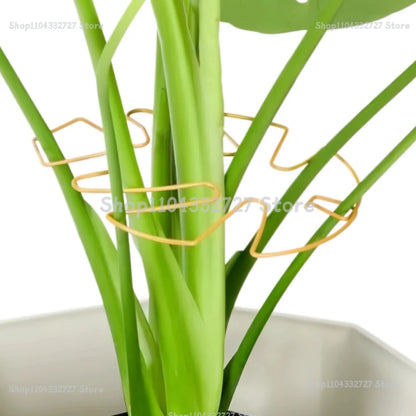 Plant Stand for Tall Houseplant Support Large Monstera Plant Stand Sturdy Climbing Stems Leaf Stabilizer Garden Plant Support