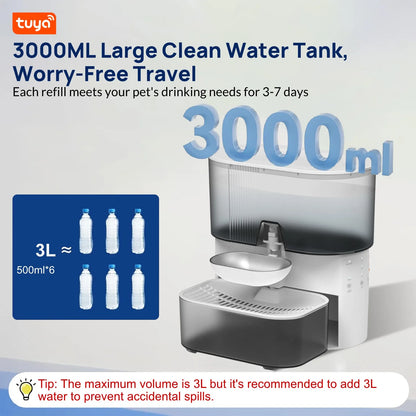 3L Timed Water Dispenser for Cats & Small Dogs, Automatic Pet Fountain, Wastewater Separation Fresh Water, No Filter No Tuya APP