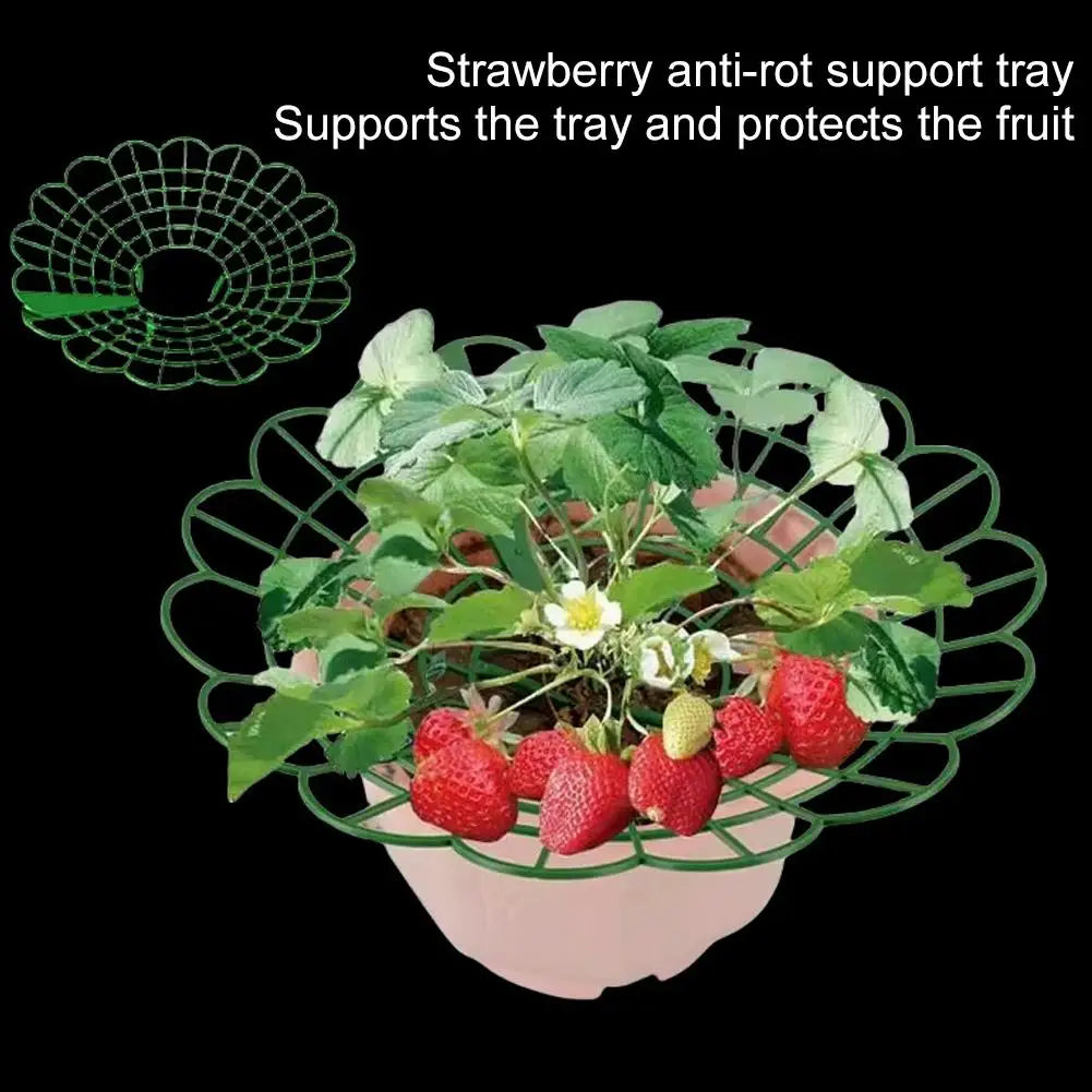 5/10pcs Strawberry Plant Supports with Three Sturdy Legs Provide Protection for Strawberries Against Mold, Rot, and Dirt