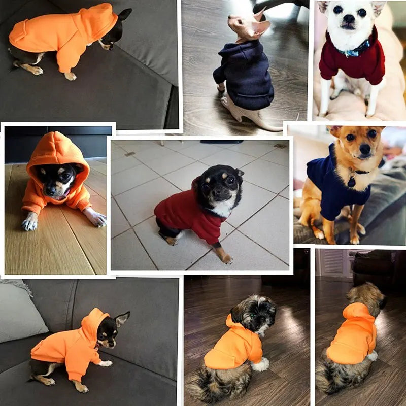 Dog Coat for Small Dogs | Solid 100% Cotton Jacket | Chihuahua, Yorkshire Terrier & Poodle