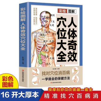 A Complete Guide to Acupoint Massage and Traditional Chinese Medicine Health Preservation Therapy for the Human Body