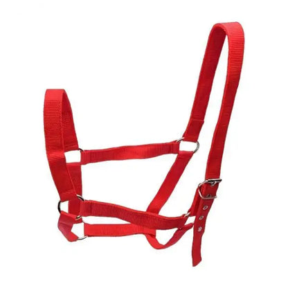 Strong PP Webbing Horse Halter Adjustable Padded Training Rope Harness Tack for Horse Riding and Groundwork