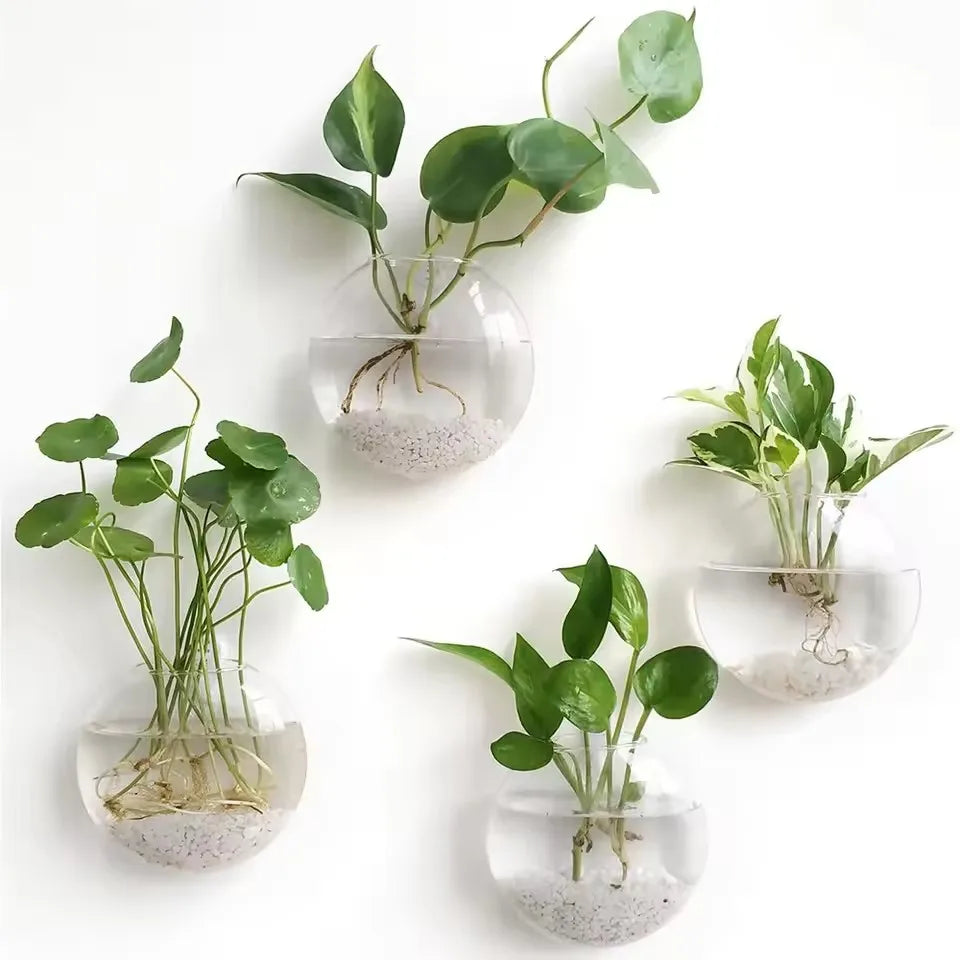 2/4/6/8 Pack Wall Hanging Glass Terrarium - Self-Watering Hydroponic Planter for Home Office Decor, Handmade Round Crystal Vase