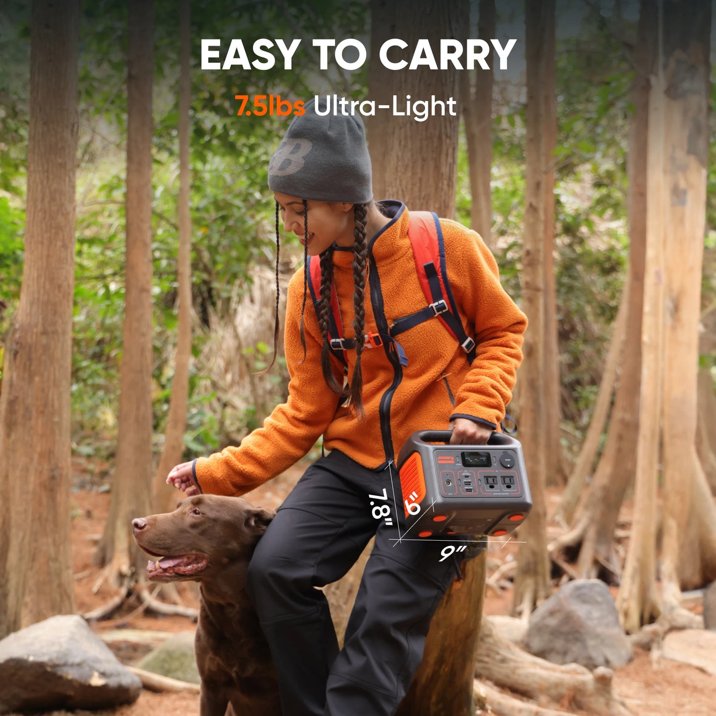 Jackery Portable Power Station Explorer 300 New and Carrying Case (S), Solar Generator for Outdoors Camping, Travel
