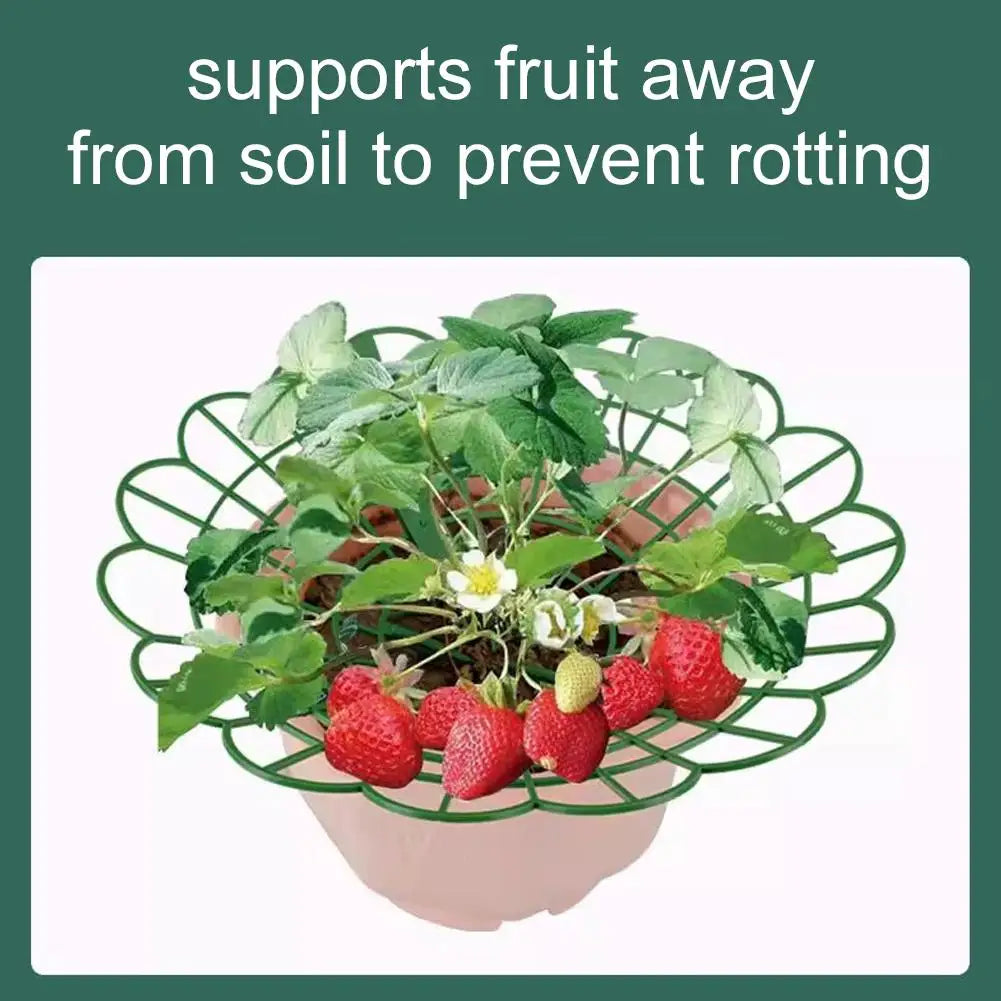 5/10pcs Strawberry Plant Supports with Three Sturdy Legs Provide Protection for Strawberries Against Mold, Rot, and Dirt