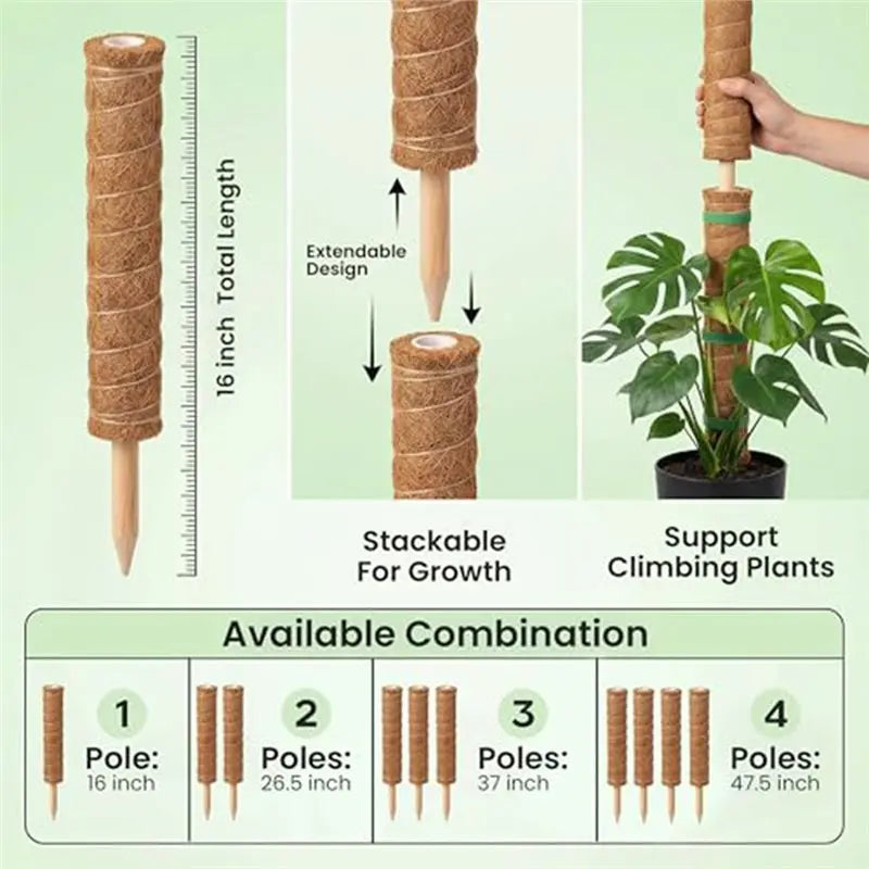 MOPHE-4-Piece Plant Stand Set - Plant Stumps For Indoor Climbing Plants - Coconut Shell Stumps And Rooftop, And Filodendrace