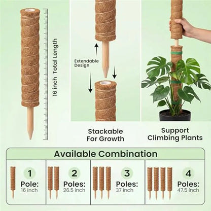 MOPHE-4-Piece Plant Stand Set - Plant Stumps For Indoor Climbing Plants - Coconut Shell Stumps And Rooftop, And Filodendrace